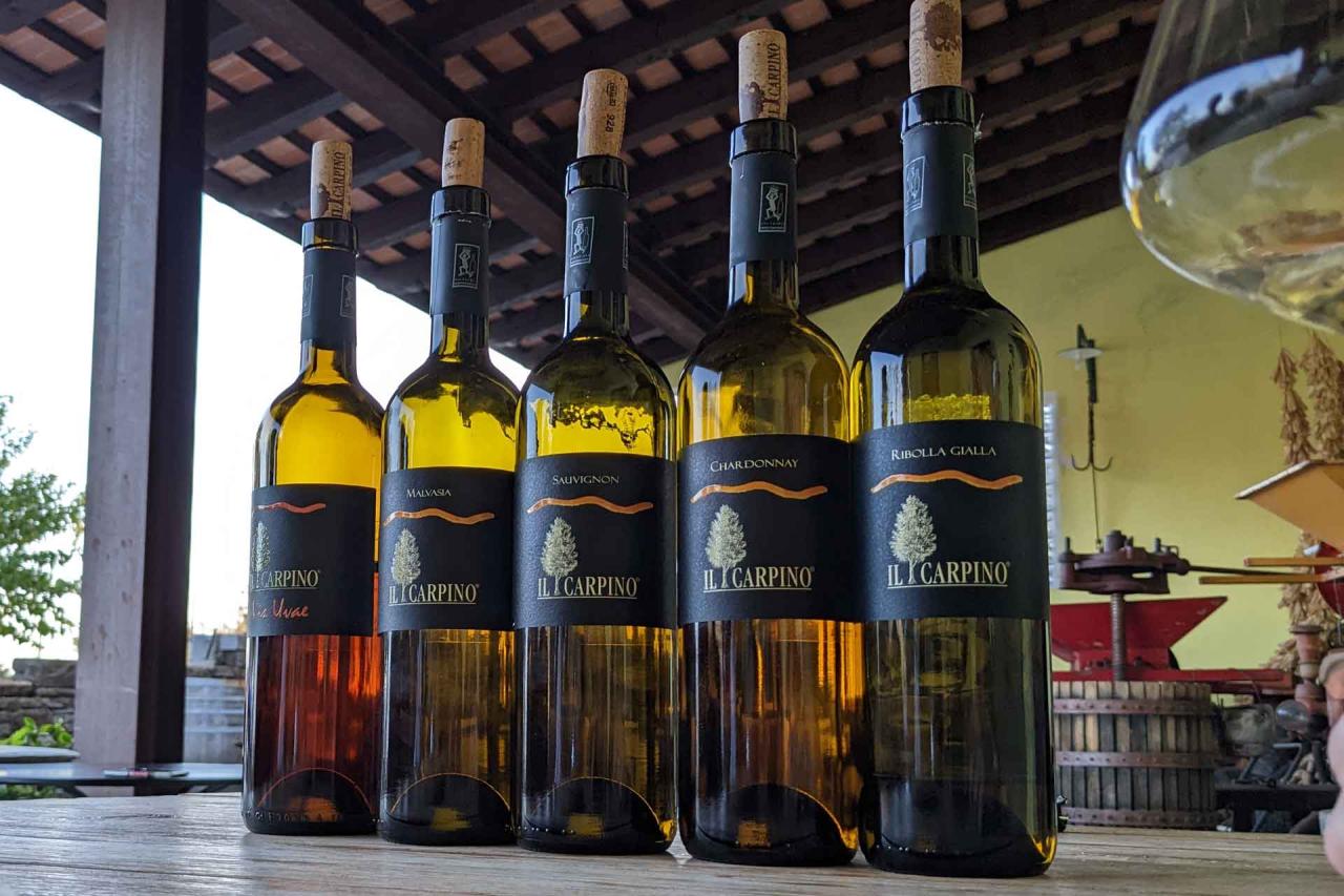 Italian Orange Wine - Il Carpino.