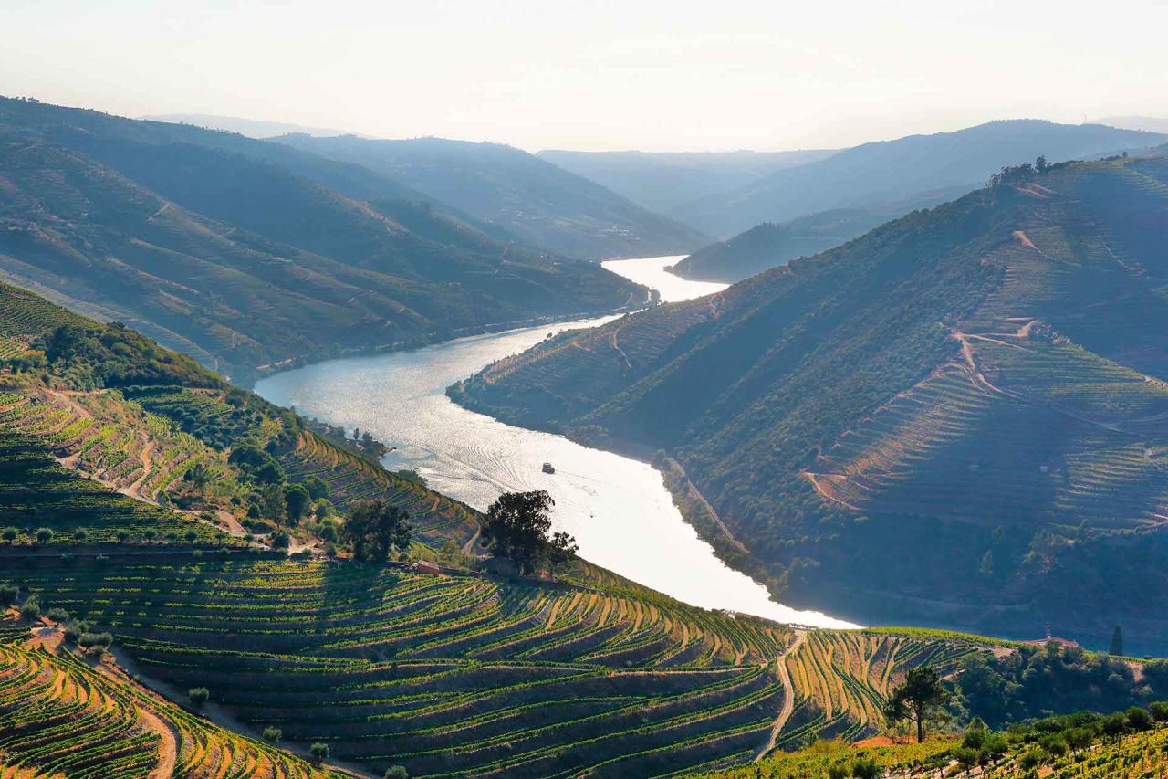 Grapes used for Port wine grow up on the steep terraces overlooking the Douro River.