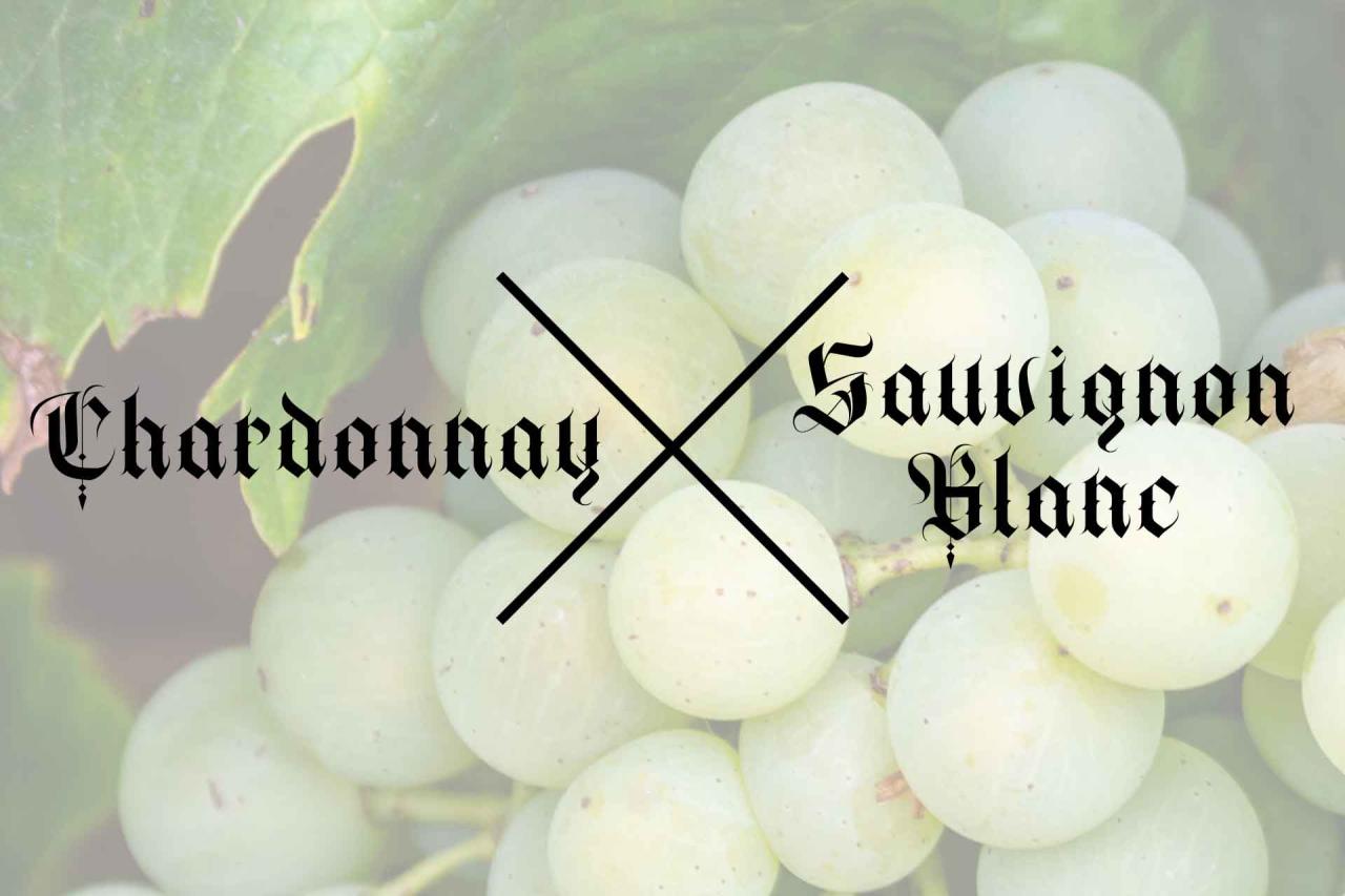 Sauvignon Blanc vs Chardonnay.